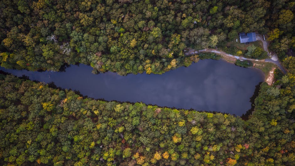House Divided: 58 Democrats Vote Against Resolution Honoring Charlie Kirk and Condemning Political Violence