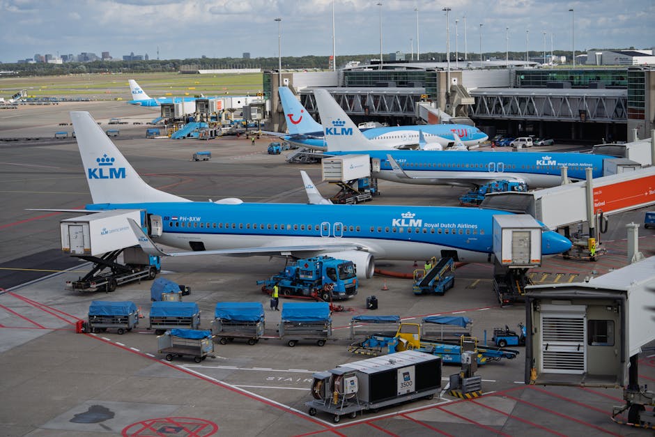 Cyberattack Disrupts Major European Airports, Including Heathrow and Brussels, with Widespread Flight Cancellations and Delays